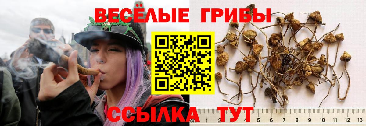 Псилоцибиновые грибы MAGIC MUSHROOMS  Вход с VPN  Ачинск 
